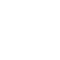 RLX Pony Logo
