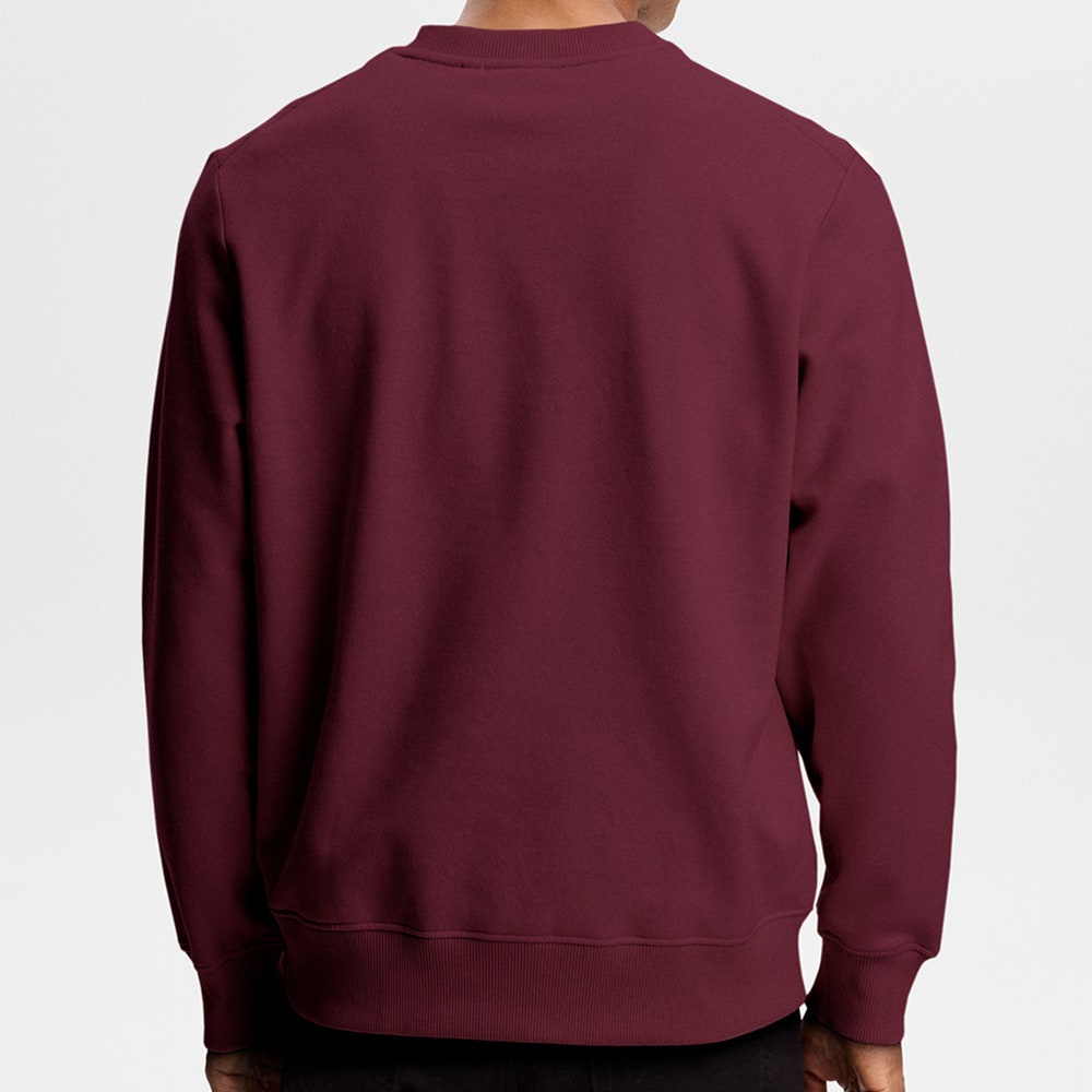 J.Lindeberg Golf Jumper - Alpha Graphic Crew Neck - Winetasting AW26