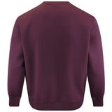 J.Lindeberg Golf Jumper - Alpha Graphic Crew Neck - Winetasting AW26