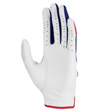 Nike Golf Glove - Tech Extreme VII - Stars & Stripes 2026