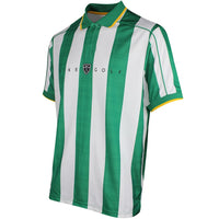 Nike Golf Shirt - NK DF Fairway Fresh Stripe Polo - Malachite SP26