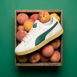 PUMA Golf Shoes - 30904 Suede G - Warm White SS26