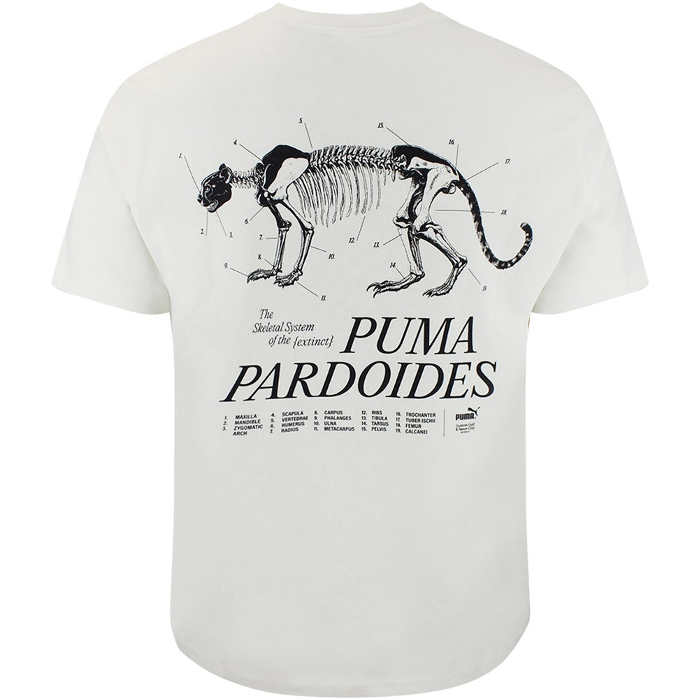 PUMA Golf T-Shirt - GGNC Pardoides Tee - Warm White SS26