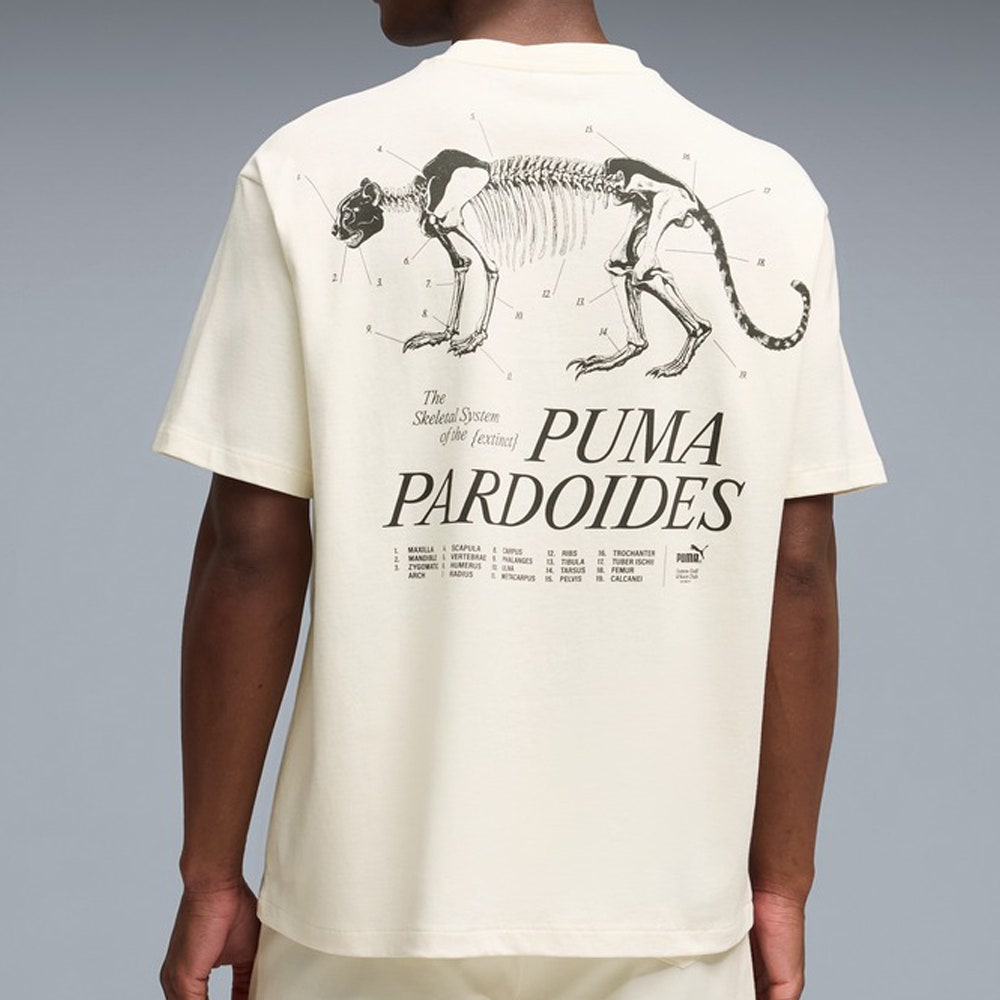 PUMA Golf T-Shirt - GGNC Pardoides Tee - Warm White SS26